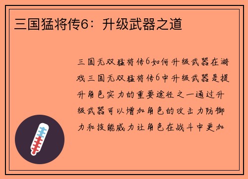 三国猛将传6：升级武器之道